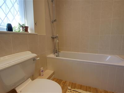 Picture 28